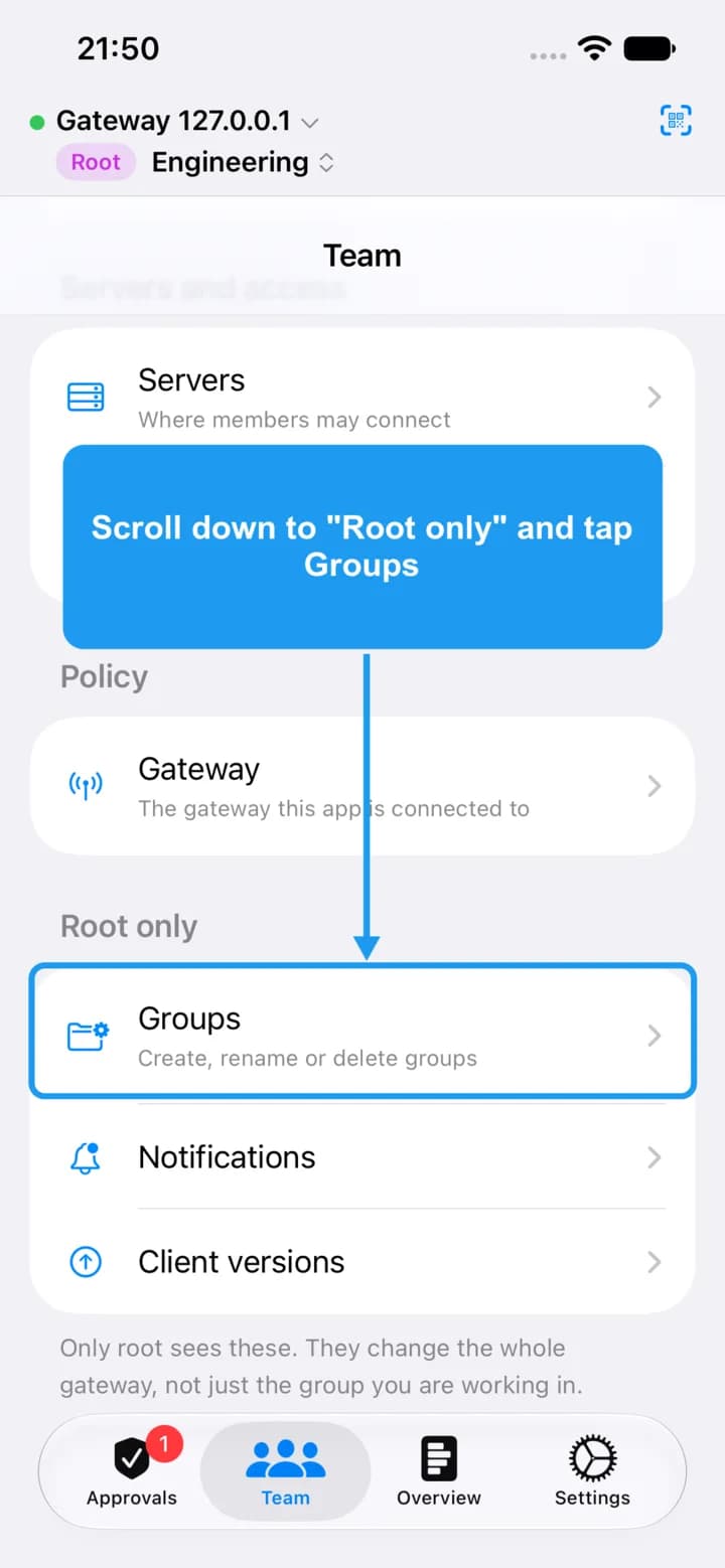 The Team tab scrolled down, with the Groups row under Root only highlighted.