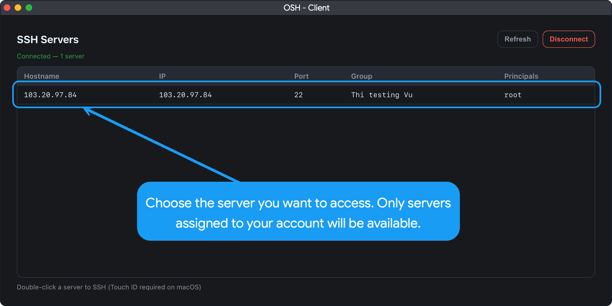 Main server connections manager window listing individual available zero-trust server nodes hostnames and target IP addresses.