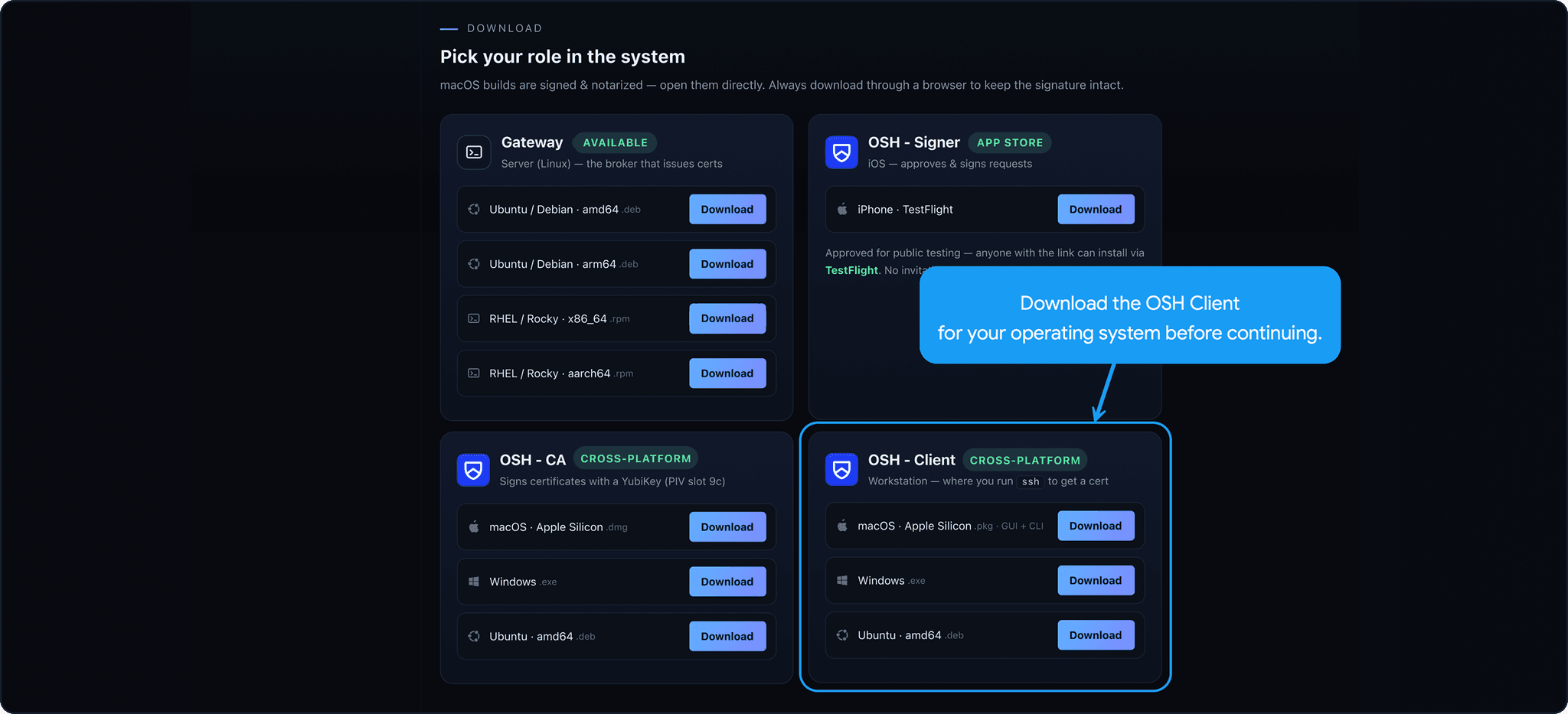 User Guide setup overview page showing a grid matrix of four structural configuration choices for client and signer verification.