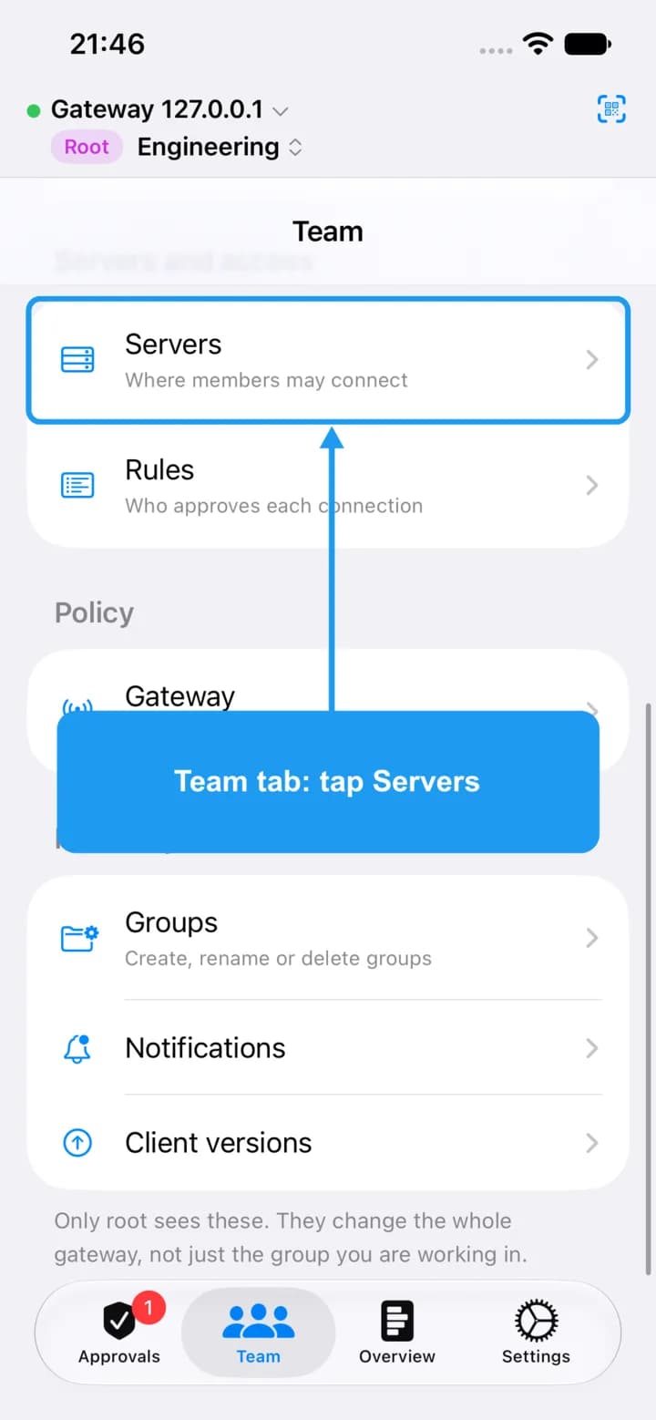 The Team tab with the Servers row highlighted.